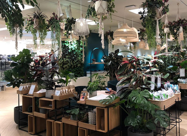 artificial plants in biophilic cafe interior