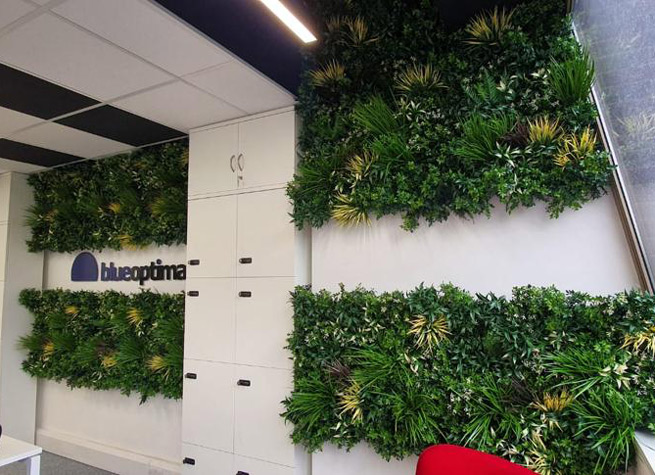 interior green wall with blue optima logo