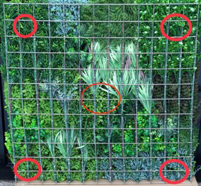 reverse side of artificial green wall panel showing position of fixings