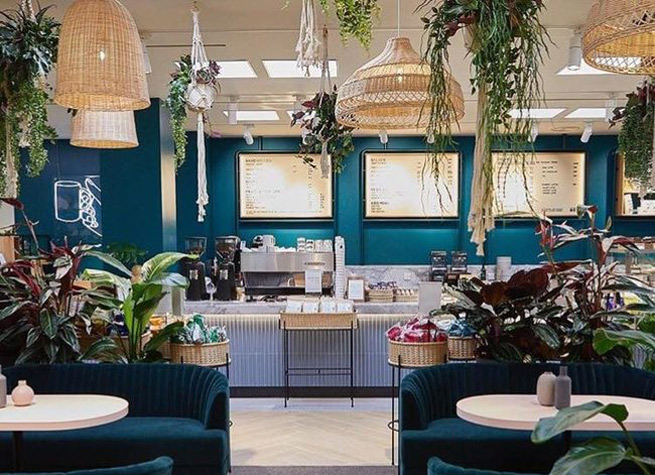 cafe interior with artificial plants