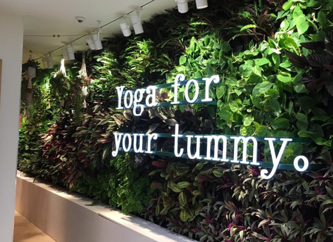 artificial green wall in cafe interior