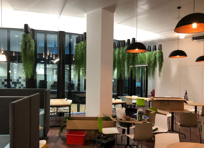 commrecial office interior with artificial plants