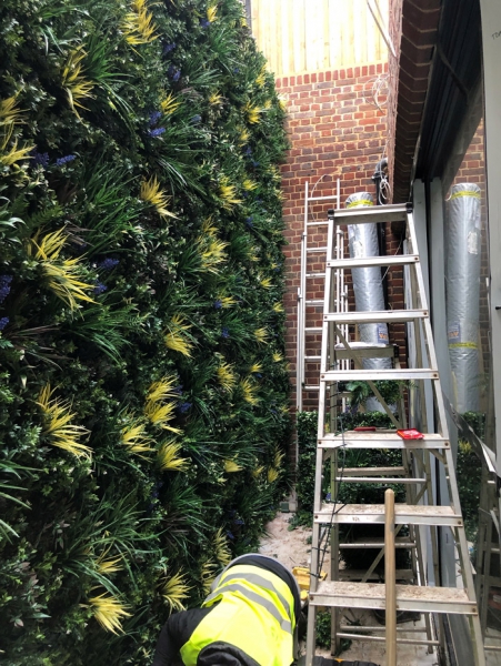 installing green wall panels