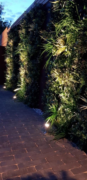 evening view withe artificial green wall panels cleverly lit