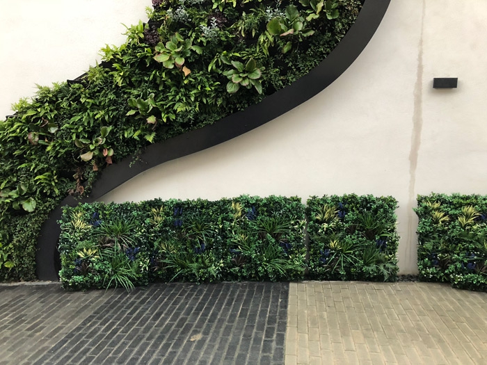 Green wall panels on rendered wall